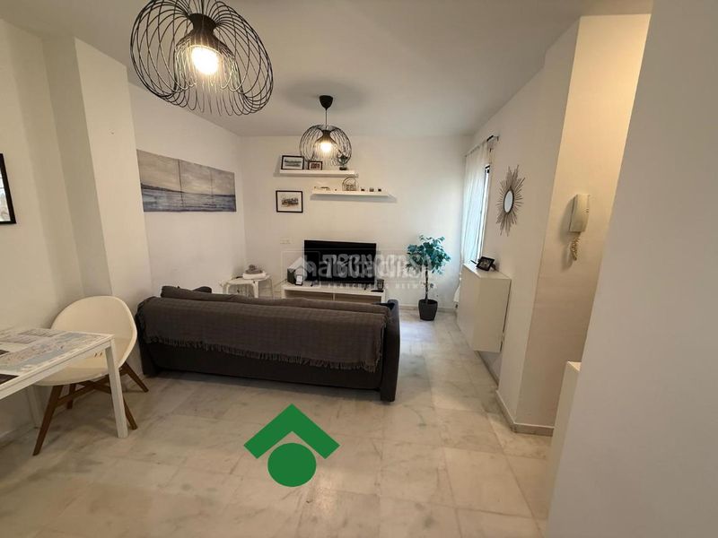 Foto 40275ae9-ed1d-4a5f-bc54-055c97acea15. Pis a Alameda - Mentidero - Teatro Falla Cádiz