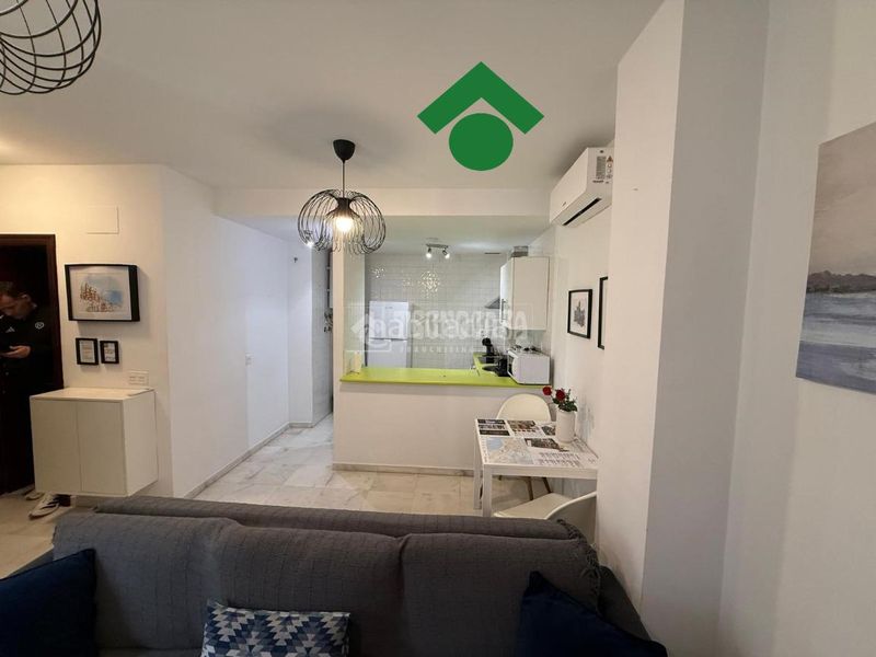 Foto 9bc36b52-f1e8-4ea3-9c0a-d6a375311d41. Pis a Alameda - Mentidero - Teatro Falla Cádiz