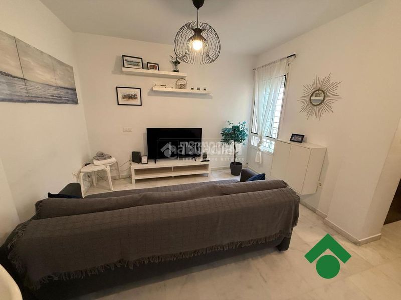 Foto d95fb430-6a3a-4f81-9876-1183663fae46. Pis a Alameda - Mentidero - Teatro Falla Cádiz