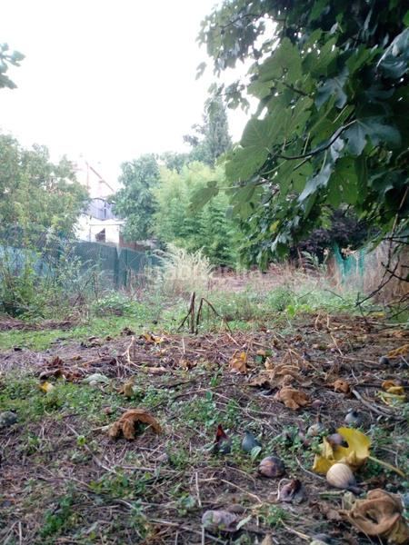 Foto be8aa911-1f6e-452b-b3c0-6d26cc34676d. Terreny residencial a Sant Vicenç de Torelló