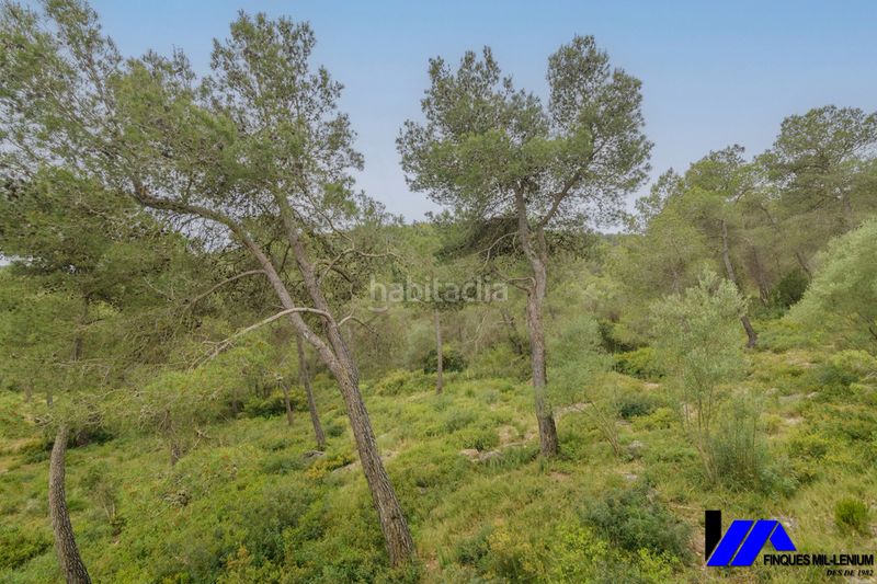Foto 93c68da4-e125-47f0-9d44-760e9221a2e9. Casa amb calefacció aparcament piscina a Begues