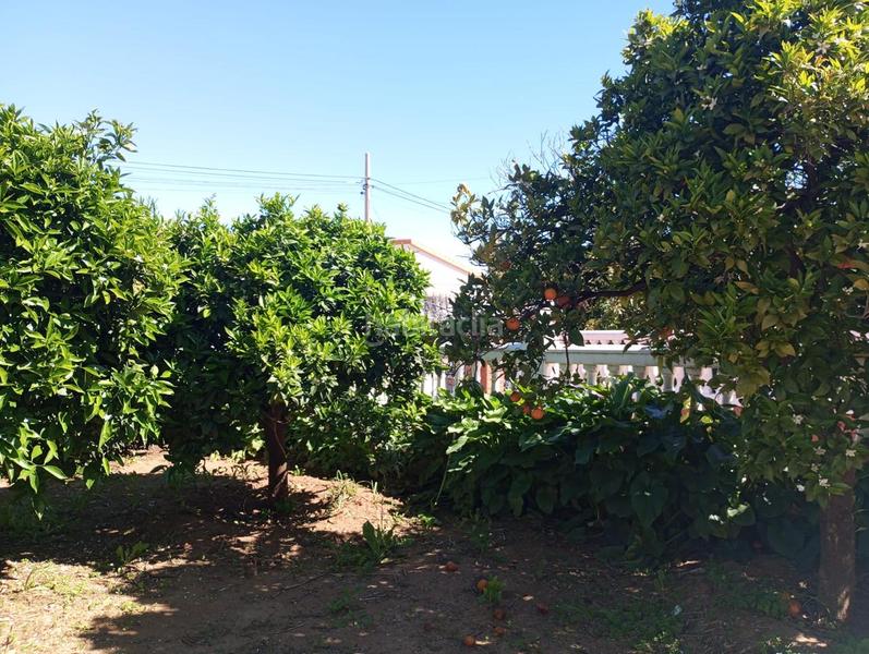 Foto d50e1112-04d2-47f8-a2c5-171c00a4ce27. Casa in Pinos de Alhaurín Alhaurín de la Torre