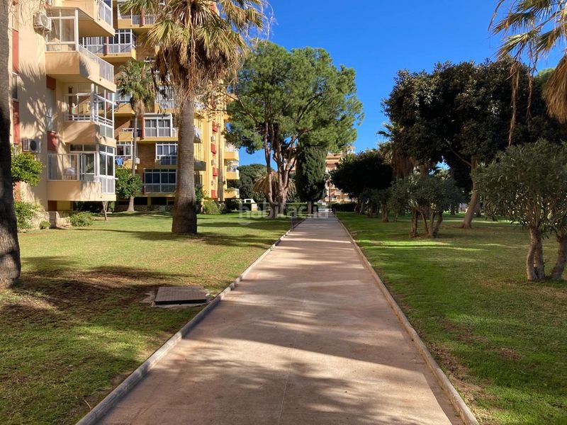 Foto 77452996-ed44-4b90-8a77-75cb573be133. Estudi a Parque de la Paloma Benalmádena