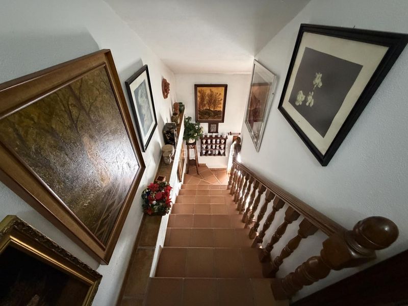 Foto 7fde864d-07a9-46ff-98b8-224e90ef5521. Casa adossada amb calefacció a Cortijo de Maza - Finca Monsalvez - El Olivar Málaga