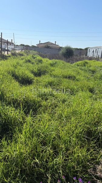 Foto 4fa06930-3084-41bb-b871-a8176611c005. Finca rústica a Carretera de Sanlúcar - Sudamérica Puerto de Santa María (El)