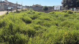 Finca rústica a Carretera de Sanlúcar - Sudamérica. Parcela en pago el palomar