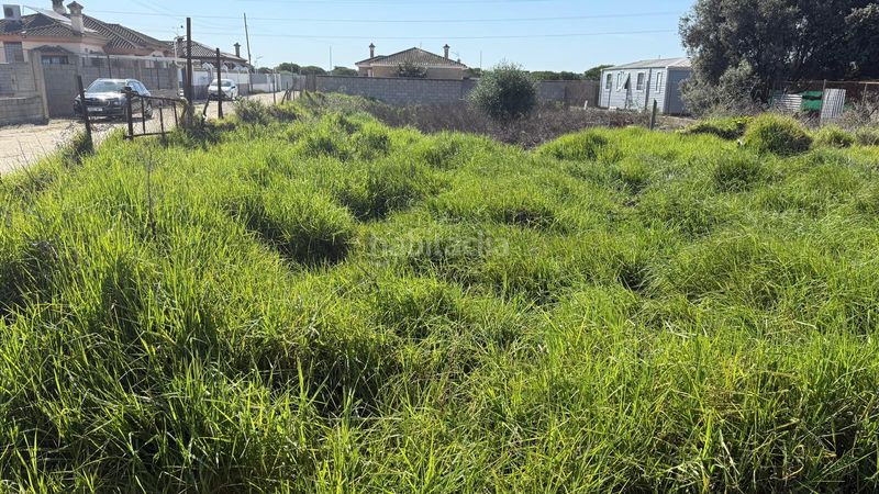 Foto c2d403b7-9ab6-47e1-ac62-03da9fbe4a2f. Finca rústica a Carretera de Sanlúcar - Sudamérica Puerto de Santa María (El)