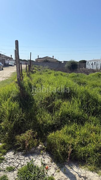 Foto c7766960-cbbc-4e84-89f6-8edc799f63fb. Finca rústica a Carretera de Sanlúcar - Sudamérica Puerto de Santa María (El)