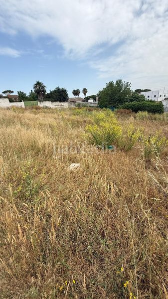 Foto 7825e14a-c480-4762-8a3f-155a3d8c373c. Finca rústica a El Juncal - Vallealto Puerto de Santa María (El)
