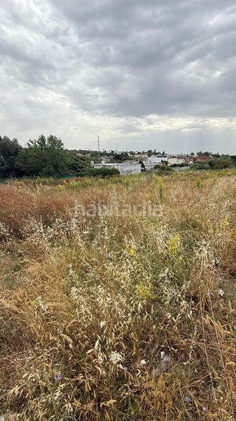 Foto f75940ff-90e0-4073-9f17-4cb3301a6a0e. Finca rústica a El Juncal - Vallealto Puerto de Santa María (El)