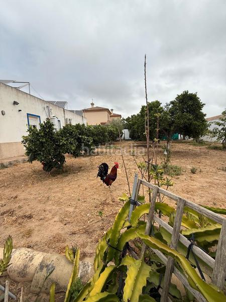 Foto 428d9738-df65-4897-a081-84f27ab4e2f0. Chalet mit parking pool in Cuatro Pinos - El Carmen Puerto de Santa María (El)