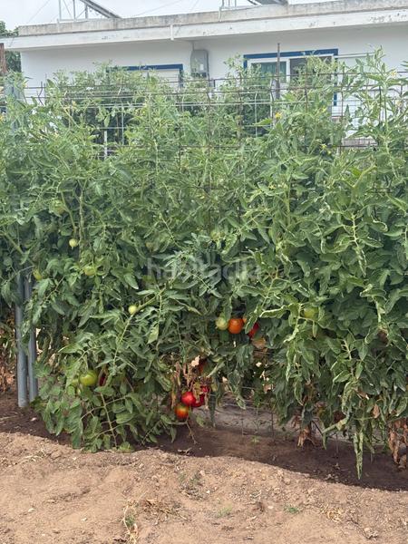 Foto 77d461bb-f024-4690-86b9-7d464388c3b3. Chalet mit parking pool in Cuatro Pinos - El Carmen Puerto de Santa María (El)