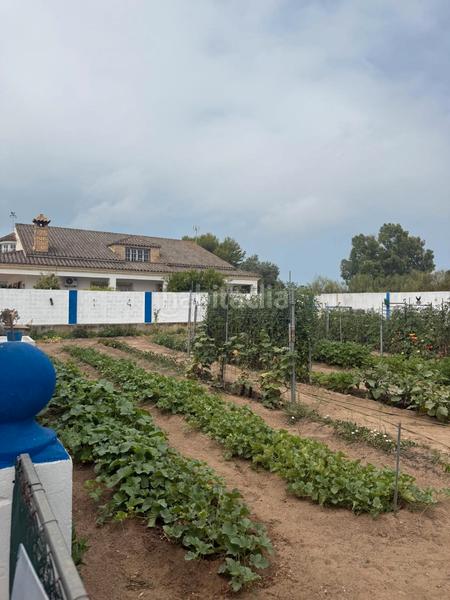 Foto a67d72e8-5c3c-4850-9b4f-bd69613ace66. Chalet mit parking pool in Cuatro Pinos - El Carmen Puerto de Santa María (El)