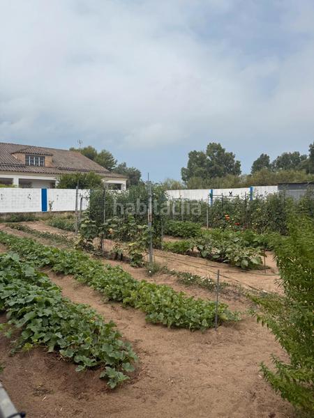 Foto e5515b58-4fcc-4564-a179-fd6b65d862a6. Chalet mit parking pool in Cuatro Pinos - El Carmen Puerto de Santa María (El)