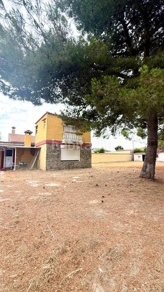 Foto d30c2c80-abf7-455f-81d6-a82f4cbf598a. Finca rústica a Carretera de Sanlúcar - Sudamérica Puerto de Santa María (El)