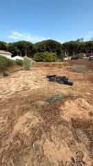 Finca rústica a Cuatro Pinos - El Carmen. Parcela segregada zona carretera fuentebravía