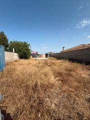 Finca rústica a Cuatro Pinos - El Carmen. Parcela segregada con punto de luz y pozo