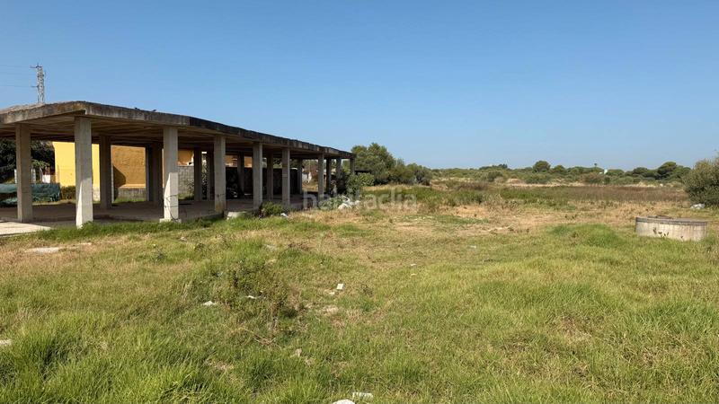Foto df71169b-ff70-4148-b316-21b8a456fa6a. Fondo rustico in calle feria 29 in Carretera de Sanlúcar - Sudamérica Puerto de Santa María (El)