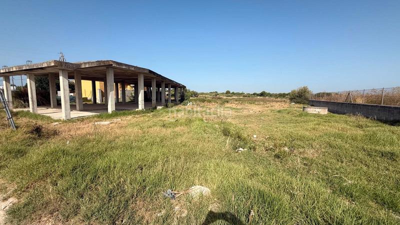 Foto f044a2ce-2651-486d-8342-0e0239861e7f. Fondo rustico in calle feria 29 in Carretera de Sanlúcar - Sudamérica Puerto de Santa María (El)