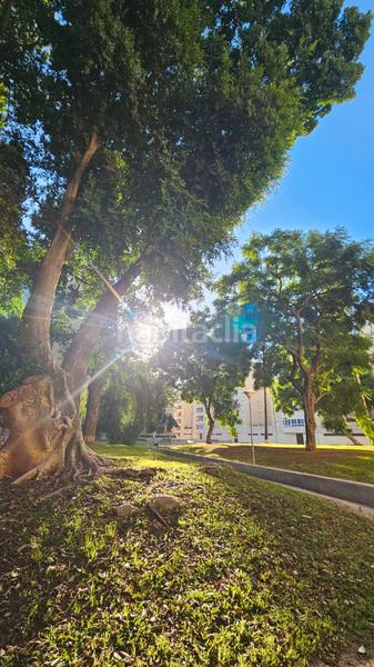 Foto 6d2cd762-ab0f-4c35-afd8-db013bcd9ce6. Pis amb aparcament a El Juncal - Vallealto Puerto de Santa María (El)