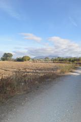 Propriété en Ayuntamiento. Terrenos en venta en alhendín Propriété en Ayuntamiento. Terrenos en venta en alhendín