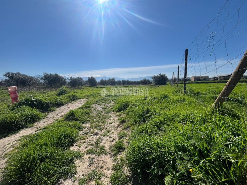 Foto 20771a81-582d-451e-8737-12ac01117168. Finca rústica a Carretera de Granada-La Alcazaba Alhendín
