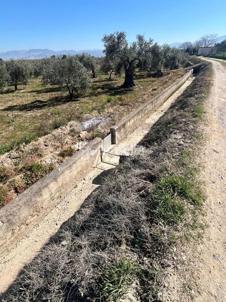 Foto 57768534-c392-4f4f-9eb8-766d7ccd7d8a. Finca rústica a Carretera de Granada-La Alcazaba Alhendín
