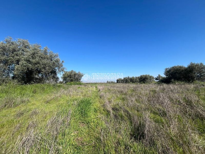 Foto a9e24781-6205-4695-a8d0-8830a899f64e. Finca rústica a Carretera de Granada-La Alcazaba Alhendín
