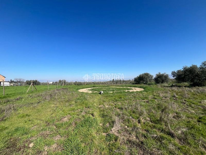 Foto ebd3a0c6-6128-4160-9144-174a251a99dd. Finca rústica a Carretera de Granada-La Alcazaba Alhendín