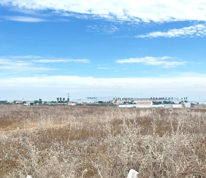 Foto 483bd4d3-ac3c-4004-81f3-dff1a1a73abd. Landgut in Las Palmeras-Dehesilla Sanlúcar de Barrameda