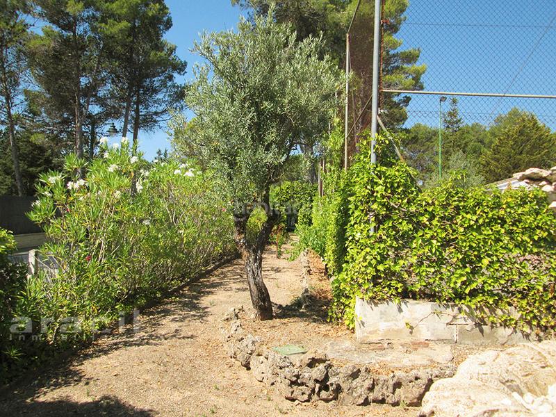 Foto 5ebc005b-609b-469f-836c-adb7139bb14b. Chalet  en venta en Bocairent