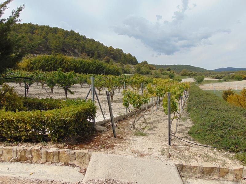 Foto 04be4e38-d495-4293-a885-bb2f5d1c4a9d. Casale con piscina in Batoi Alcoi
