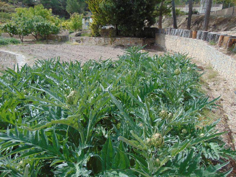 Foto 45f68a74-5947-4c57-9838-92d25a9374ae. Casale con piscina in Batoi Alcoi