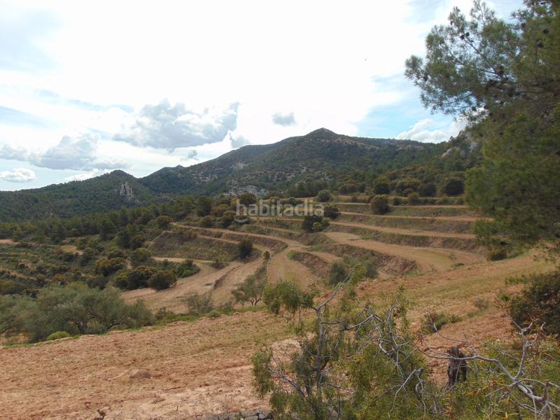 Foto 553915c5-ee0a-49a2-8265-8ca5c8619f54. Casale con piscina in Batoi Alcoi