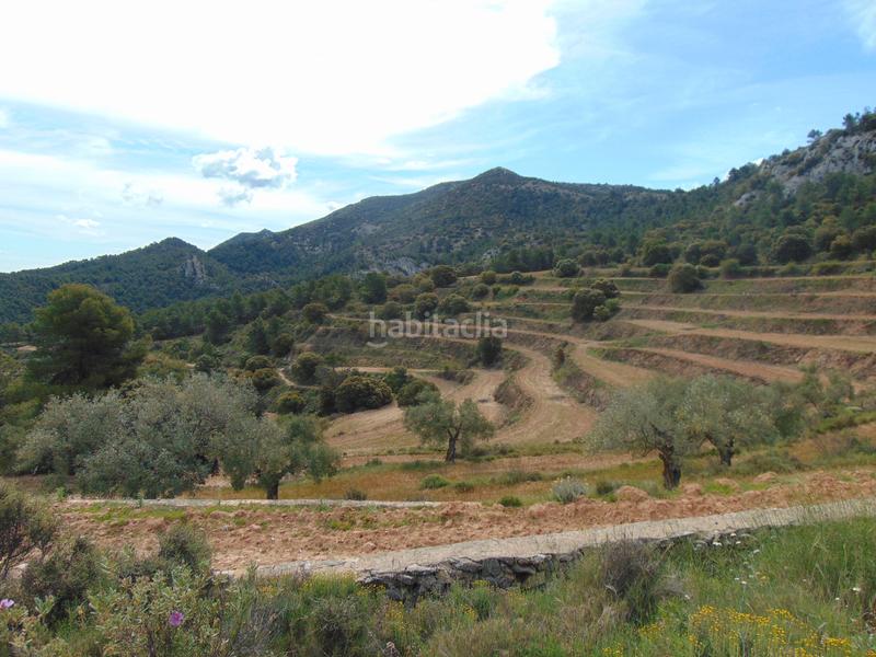 Foto 7b4ada50-8681-4d82-89ef-af9e57639a98. Casale con piscina in Batoi Alcoi