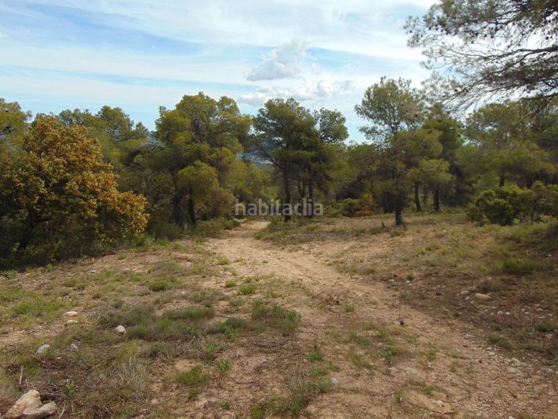 Foto ba9862f7-3c02-4594-9da8-59deb0a70407. Casale con piscina in Batoi Alcoi
