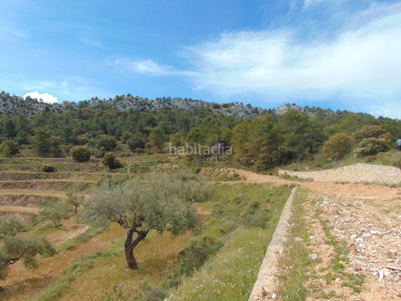 Foto ce0c878d-c1f8-453b-8e03-48e7ac2bc0f0. Casale con piscina in Batoi Alcoi