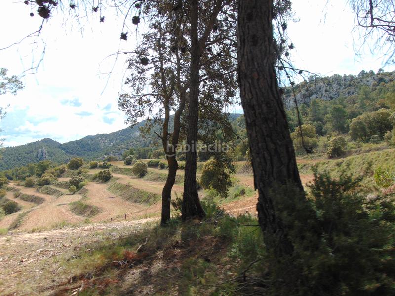 Foto ec3df374-37cb-46f8-8ebe-1ba0683c72ff. Casale con piscina in Batoi Alcoi