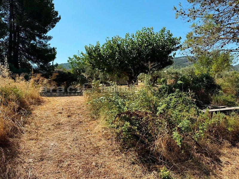 Foto 21934b0b-8b4d-4a04-9826-bdeb66700352. Masia amb piscina a Bocairent