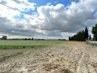Masia en Pozoalbero. Terreno en venta con casas, naves, trasteros, maquinaria...