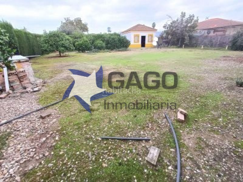 Foto a70dcfa7-935a-4e7e-a0b4-a1647d729429. Pis a Villarrubia Córdoba