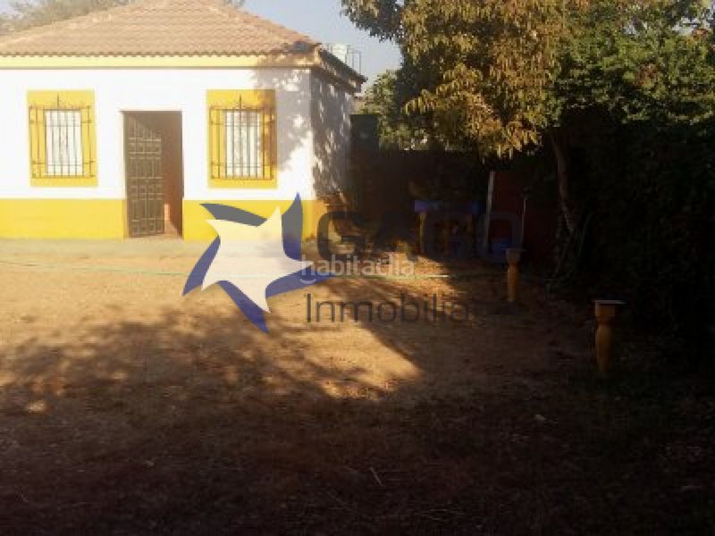 Foto dc0a3d58-de74-47f7-a6ab-ea9c2cd6882b. Pis a Villarrubia Córdoba