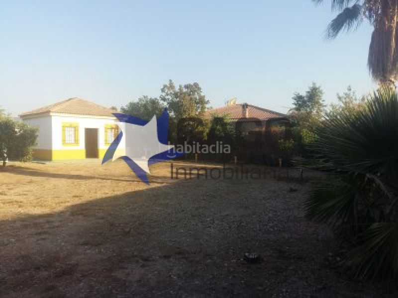 Foto de8068b7-3a81-4ce3-999c-d9b923dbe693. Pis a Villarrubia Córdoba