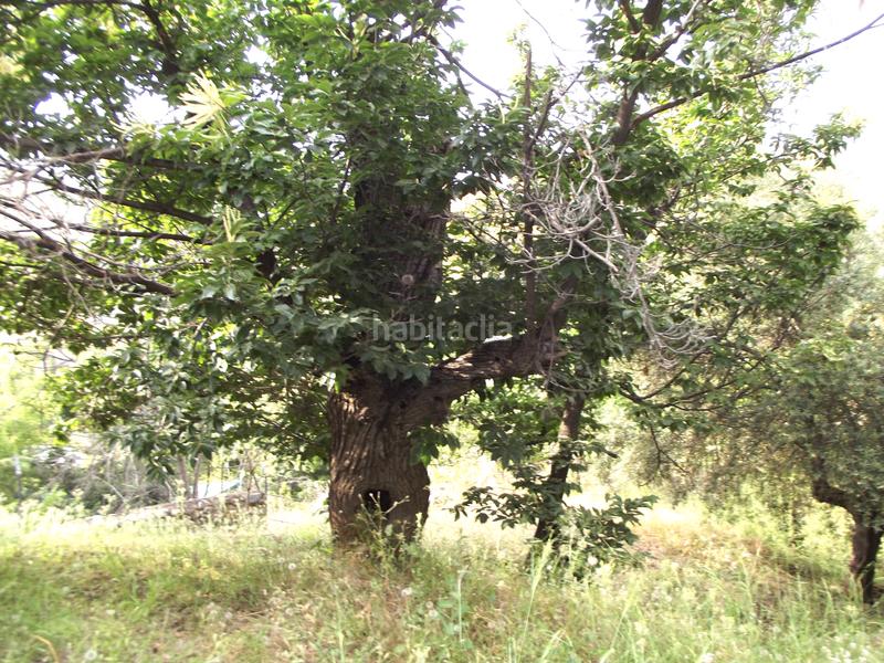 Foto b5c810b3-91ec-49b2-b32c-74a5a5151d8d. Chalet  en venta en Dúdar