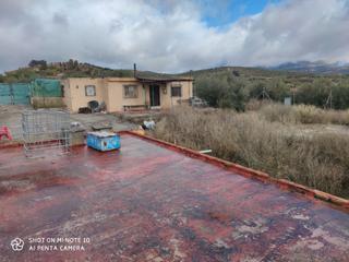 Mas à Albolote. Finca rustica