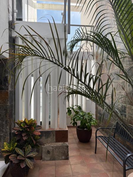 Foto 9d95caec-965f-4bcc-ac72-ad4a64b7db10. Casa adossada amb piscina a La Barrosa Chiclana de la Frontera