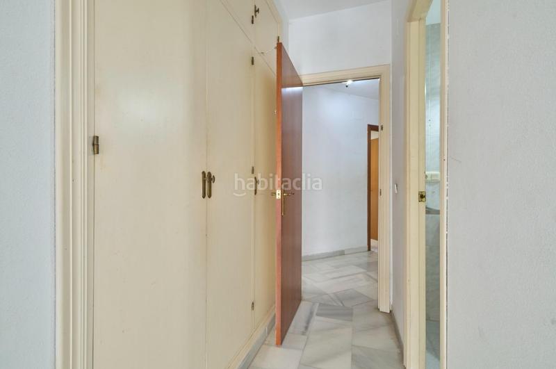 Foto 075cea37-c6a6-4922-8ad4-343ae8c071aa. Pis a Centro Jerez de la Frontera