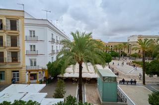 Piso en Centro. Magnifica vivienda con tres balcones a plaza del arenal.