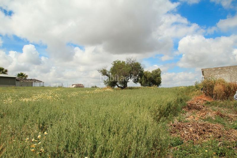 Foto 9662841a-1761-4e83-9865-9274edcd976d. Fondo rustico in El Rocío - La Milagrosa Jerez de la Frontera