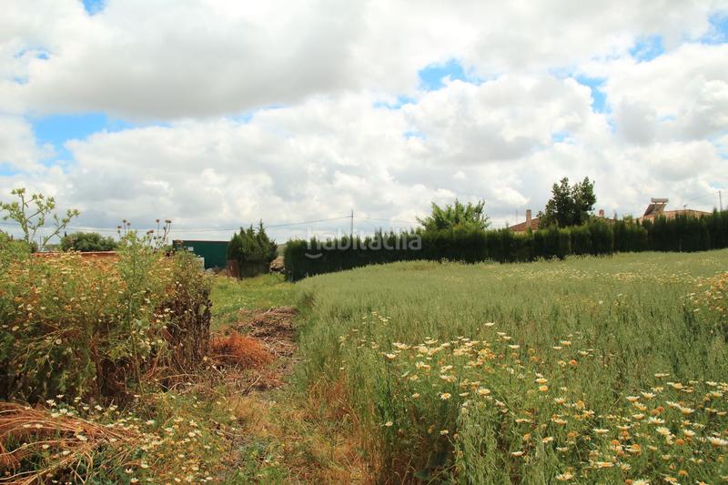 Foto b3dd5120-68a9-4ba2-bb28-87077121b814. Fondo rustico in El Rocío - La Milagrosa Jerez de la Frontera